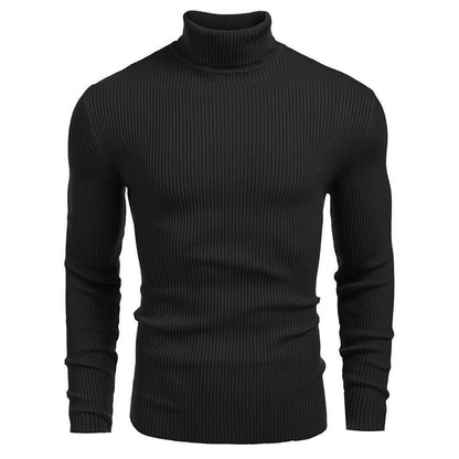 🔈🔈60% RABATT🔥Winterlicher Strickpullover mit Rollkragen für Herren