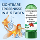 🐟 1 KAUFEN, 1 GRATIS! 💧 Aquarienwasser-Reinigungstablette – Entfernt Verunreinigungen, gleicht den pH-Wert aus und ist schonend zu Fischen 🧪