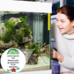 🐟 1 KAUFEN, 1 GRATIS! 💧 Aquarienwasser-Reinigungstablette – Entfernt Verunreinigungen, gleicht den pH-Wert aus und ist schonend zu Fischen 🧪