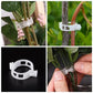 🗜️Clips für Kletterpflanzen – Tomatenbinder und Pflanzenbefestigungen aus Kunststoff 🌱🍅