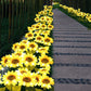 🌻 NUR FÜR KURZE ZEIT: 50 % RABATT! ✨ Sonnenblumen-Solarleuchten – Automatisches Ein- und Ausschalten, 14 Stunden Leuchtdauer, wasserdicht nach IP65 ☀️
