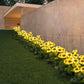 🌻 NUR FÜR KURZE ZEIT: 50 % RABATT! ✨ Sonnenblumen-Solarleuchten – Automatisches Ein- und Ausschalten, 14 Stunden Leuchtdauer, wasserdicht nach IP65 ☀️