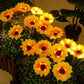 🌻60 % RABATT! ☀️ Wasserdichte Solar-Sonnenblumenlichter – Realistische Blütenblätter, IP65 wetterfest & 8–12 Stunden automatisches Leuchten ☀️🌻