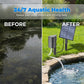 🔥 50 % RABATT 🐟 Solarbetriebener Teichbelüfter mit integrierter Luftpumpe ☀️ Versorgen Sie das Wasser effizient mit Sauerstoff – ganz ohne Stromkosten 🌿