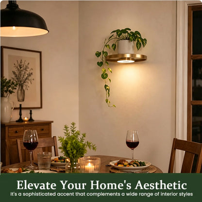 🏠 JETZT 50 % RABATT! 💡 Schwebendes Wandregal mit integrierter LED-Stimmungsbeleuchtung – Moderne Pflanzenpräsentation – Perfekt für Indoor-Gärten und Wohnungen ✨