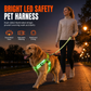 LED-Hundeharness mit Leuchtfunktion für Spaziergänge bei Nacht